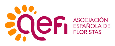 Aefi